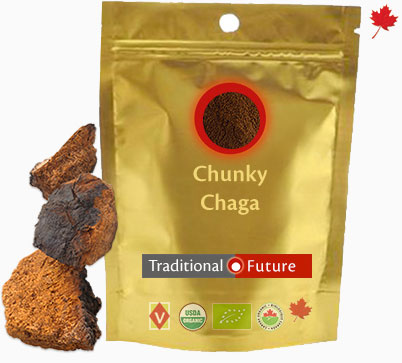 Chunky Chaga Extract, TFMMES Medicinal Mushrooms