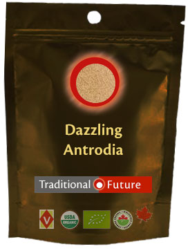 dazzling antrodia medicinal mushroom extract